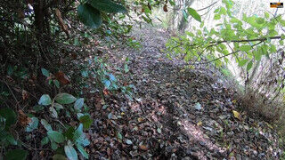 Tinédzser tinédzser barinő cidázza az erdőben a hapsija faszát - Szexbalvany